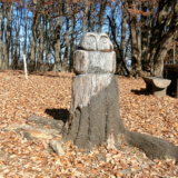 久保山公園で出会った木彫りのフクロウは思いやりの彫刻でした