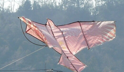 水道水の「水はむら」手にハケと湧水と田んぼ散歩～羽村駅前の顔