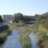 黒目川を上流へ、清流の川沿いに春を待つ桜並木や樹々をめぐる