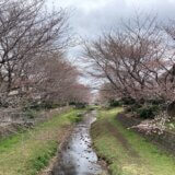野川の現状とこれから～最上流部の国分寺市域～