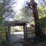 貫井神社プール跡と三楽の森