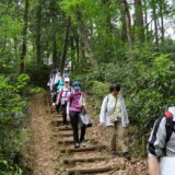 第52回多摩めぐり　芽吹きの里山・狭山丘陵を散策