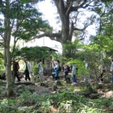 第54回多摩めぐり　武蔵野台地の原風景・屋敷林を観、日本の民俗学揺籃の地であった下保谷歩く