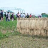 第57回多摩めぐり　多摩の米蔵を潤す日野用水と流域の歴史に触れる（平～粟ノ須～東光寺）